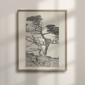 Vintage Botanical Tree Art Print, Antique Wall Decor, Unique Tree Drawing, Nature-Inspired Artwork, Poster, C16-1358
