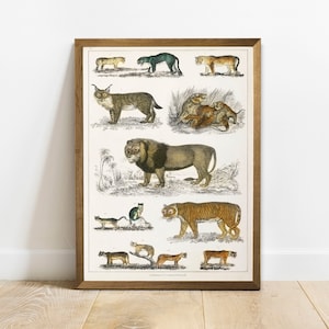 Cat Family Print, Antique Animal Painting, Vintage Drawing Poster Wall Art, Feline Family,  forest animal poster, animal print | COO276