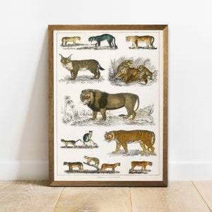 Cat Family Print, Antique Animal Painting, Vintage Drawing Poster Wall Art, Feline Family,  forest animal poster, animal print | COO276