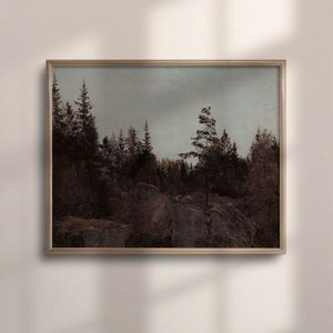 Rustic Forest Landscape Oil Painting, Vintage Moody Wall Decor, Dark Vintage Art Poster, Rustic Wall Art, C16-66