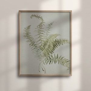 Antique Botanical Fern Artwork, Vintage Country Farmhouse Decor, Rustic English Garden Wall Poster, C16-751