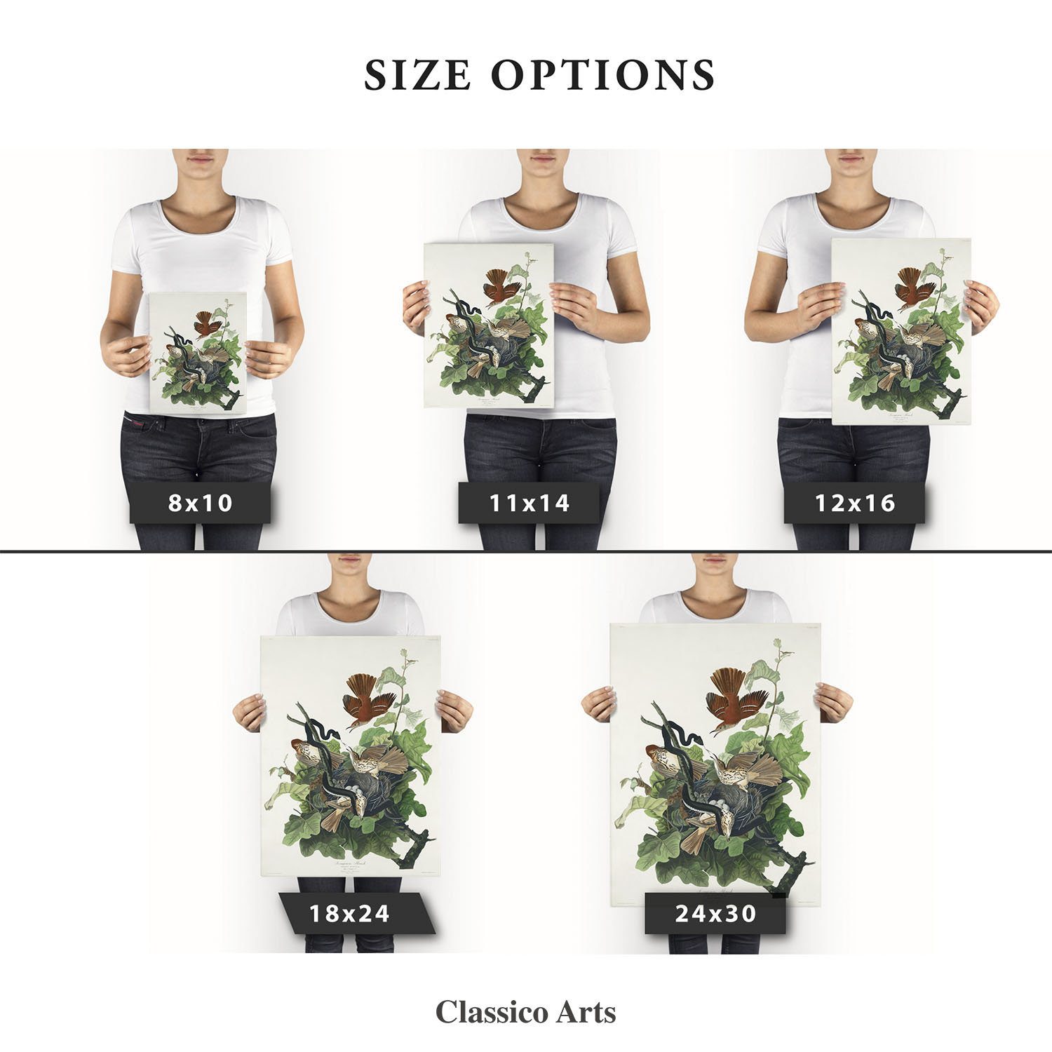 鉄ツグミのキャンバスプリント、アンティークな鳥の絵画、ヴィンテージの絵画、壁掛けアート、アンティーク彫刻、鳥の彫刻 | C403 - Etsy 日本