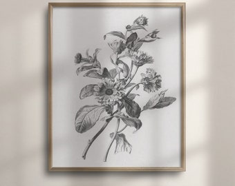Antique Flower Sketch Print: Vintage Botanical Wall Art