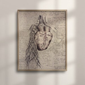 Simple Human Heart Diagram Sticker by Vintage Anatomy Prints - Fine Art  America