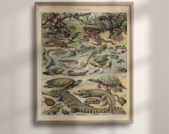 Adolphe Millot Reptiles Print: Vintage Natural History Poster