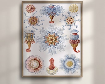 Ernst Haeckel Jellyfish Art Print: Antique Nautical Marine Life Poster