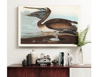Audubon Pelican Canvas Print: Vintage Bird Wall Art Decor