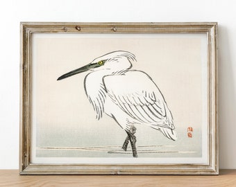 Vintage kunstafdruk sneeuwreiger: Kōno Bairei zoölogietekening