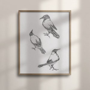 Bosquejo de pájaro vintage, arte de dibujo minimalista, decoración de granja, arte de pared neutral, flores de primavera, grabado de tres pájaros, C16-740