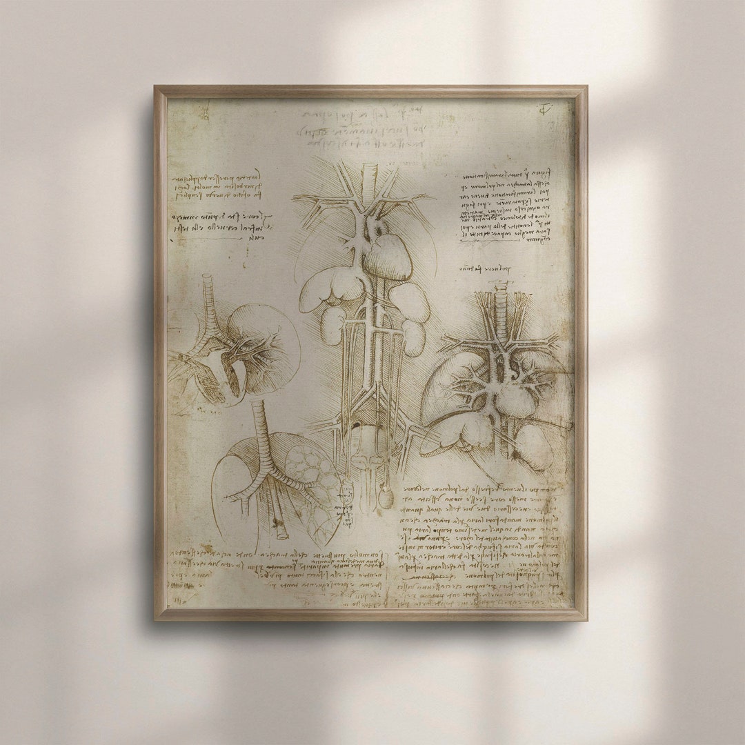 Vintage Da Vinci Anatomy Art Print: Medical Science Decor - Etsy
