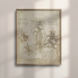 Vintage Da Vinci Anatomy Poster, Medical Decor, Human Anatomical Art, Science Wall Decor, Skeleton Illustration, Graduation Gift, C16-1029