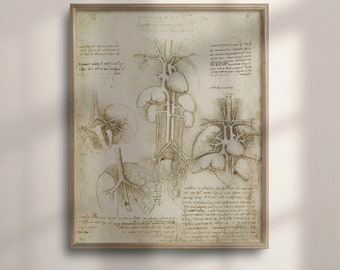 Vintage Da Vinci Anatomy Art Print: Medical Science Decor