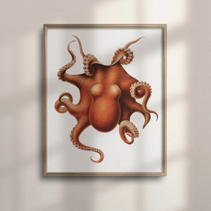 Reproducción de arte de pulpo vintage, decoración de pared náutica, cartel de vida marina, impresión marina para sala de estar, decoración de habitación infantil, playa, C16-1015
