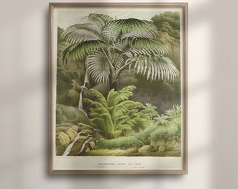 Antique Palm Tree Print: Victorian Botanical Jungle Wall Art
