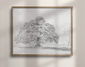 May include: A black and white pencil drawing of a large tree in a forest setting. The tree is in the center of the image and is surrounded by other trees. The drawing is framed in a light wood frame.