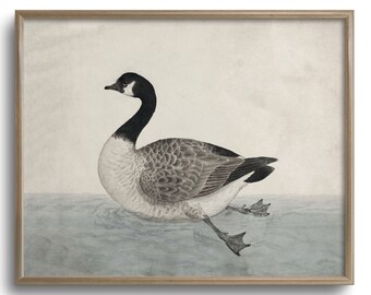 Vintage Canada Goose Painting, Rustic Home Decor, Lake House Art, C16-176