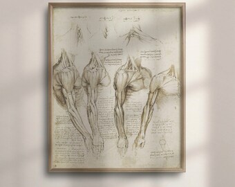 Vintage Da Vinci Anatomy Poster: Medical Wall Art
