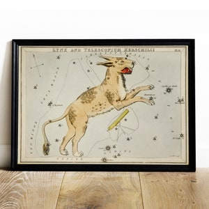 May include: A vintage illustration of the Lynx and Telescopium Herschelii constellations. The image features a detailed drawing of the constellations with stars marked in gold. The constellations are labeled with their names in a cursive font. The image is framed in black.