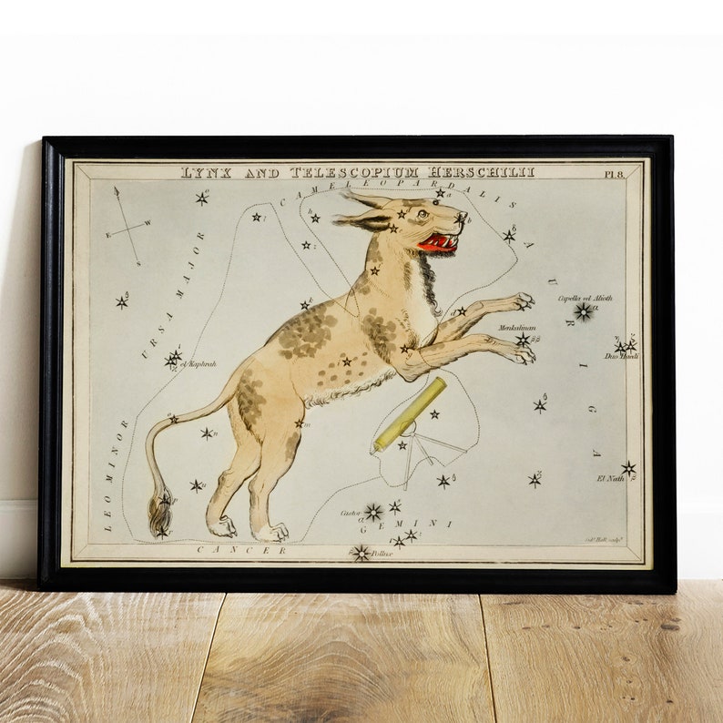 May include: A vintage illustration of the Lynx and Telescopium Herschelii constellations. The image features a detailed drawing of the constellations with stars marked in gold. The constellations are labeled with their names in a cursive font. The image is framed in black.