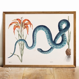 Impresión de serpiente, pintura de aves antiguas, decoración de arte de pared de cartel de dibujo vintage, serpiente Wampum, arte animal vintage, estampado de animales salvajes / COO598