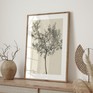 Vintage Orange Tree Print: Spanish Botanical Kitchen Art image 2