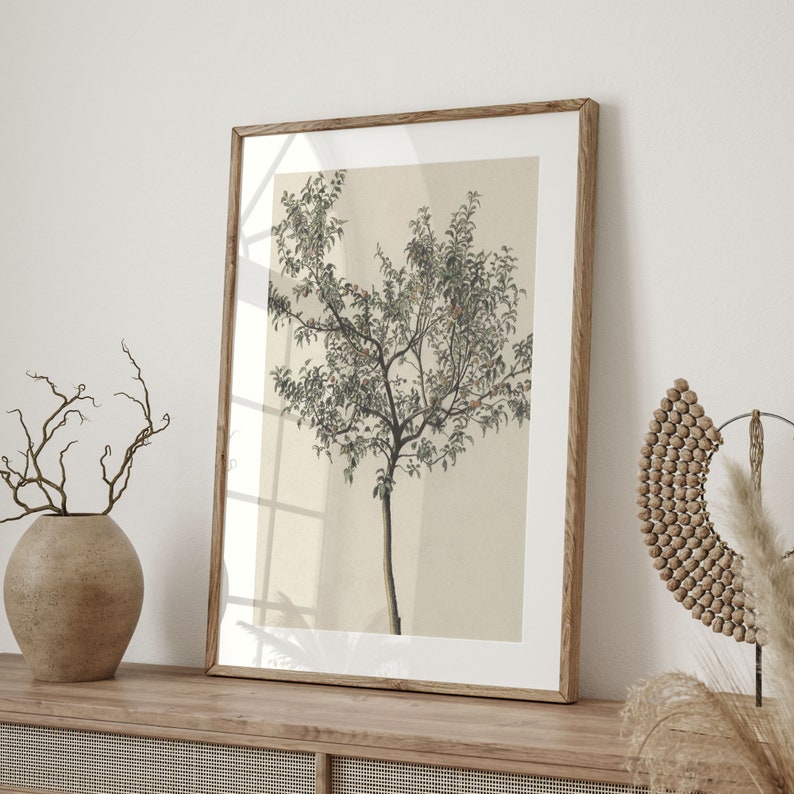 Vintage Orange Tree Print: Spanish Botanical Kitchen Art image 2