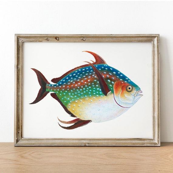 Opah Fish Design Opah Fish Print Vintage Fishing Poster Wall Art Decor Gift | Etsy