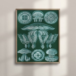 Arte de medusas antiguas de Ernst Haeckel, cartel del océano náutico, ilustración de biología vintage, decoración costera junto al mar, único, C16-1230