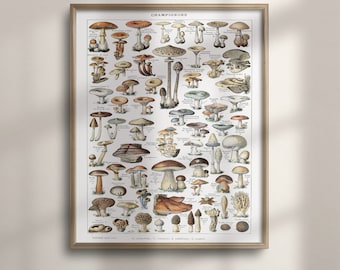 Vintage Mushroom Poster: Adolphe Millot Botanical Science Art