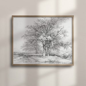 Vintage Tree Sketch Art Print, dibujo a lápiz botánico, decoración de pared inspirada en la naturaleza, cartel único, C16-247