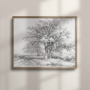 Vintage Tree Sketch Art Print, Botanical Pencil Drawing, Nature Inspired Wall Decor, Unique Poster, C16-247