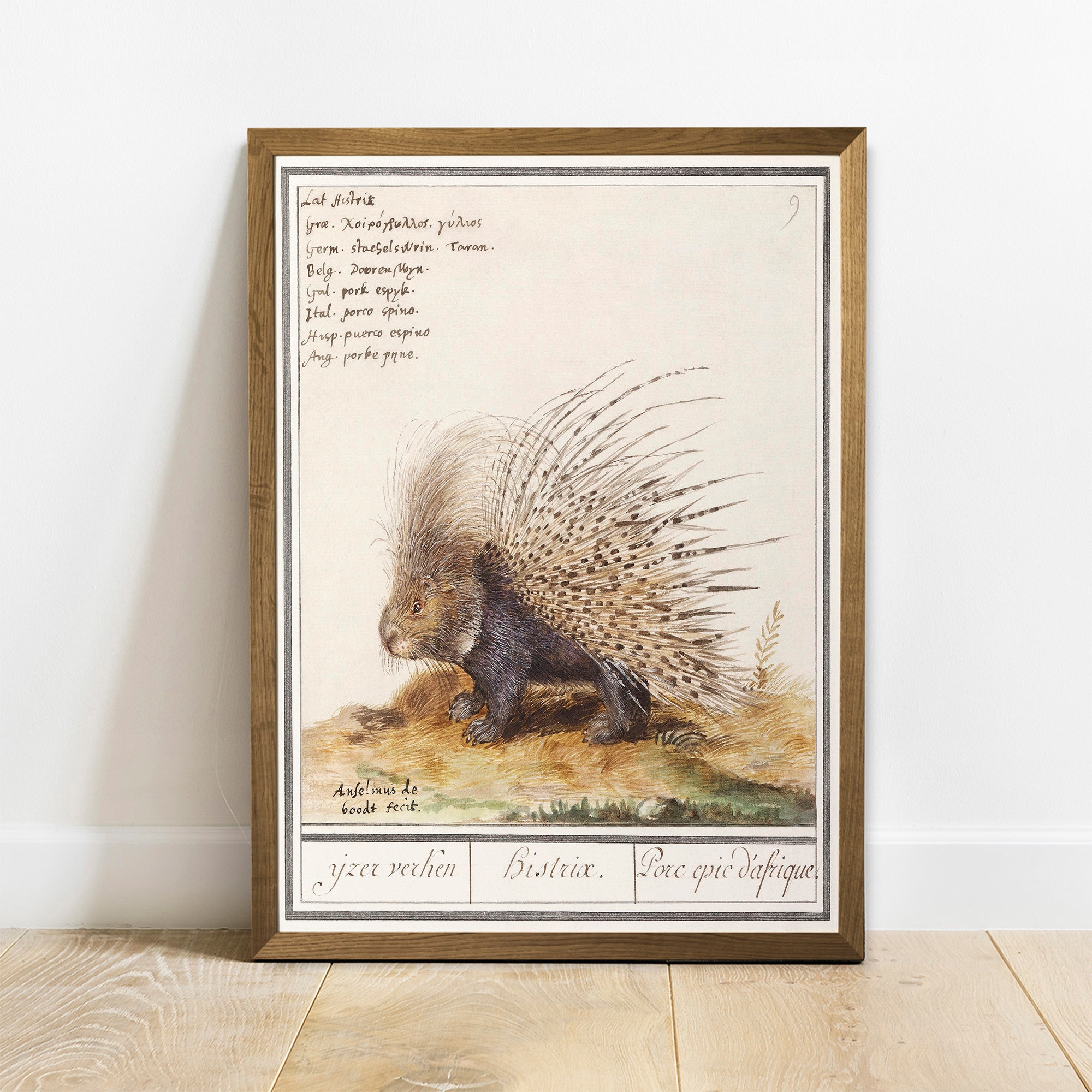 Silver Porcupine - Etsy