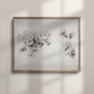 Antique Botanical Flower Sketch, French Country Cottage Decor, Vintage Wall Art, Neutral Floral Drawing, C16-185