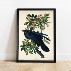 Raven Print, Antique Bird Painting, Vintage Drawing Poster Wall Art Decor, Black Raven, bird nature print, bird lovers gift | COO424