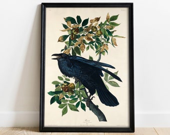 Raven Print, Antique Bird Painting, Vintage Drawing Poster Wall Art Decor, Black Raven, bird nature print, bird lovers gift | COO424