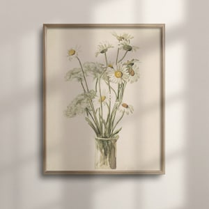 Botanical Daisy Watercolor Art Print: Vintage Farmhouse Decor