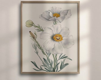 Vintage Floral Botanical Art Print: French Country Farmhouse Decor