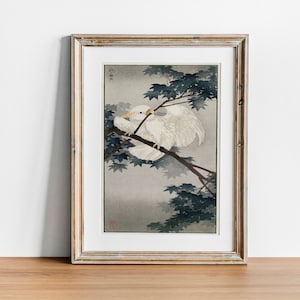 Kakadu Print, antike Weltraum Malerei, Vintage Zeichnung Poster Wandkunst, Waldtierkunst, Tierreich, antikes Plakat | COO719