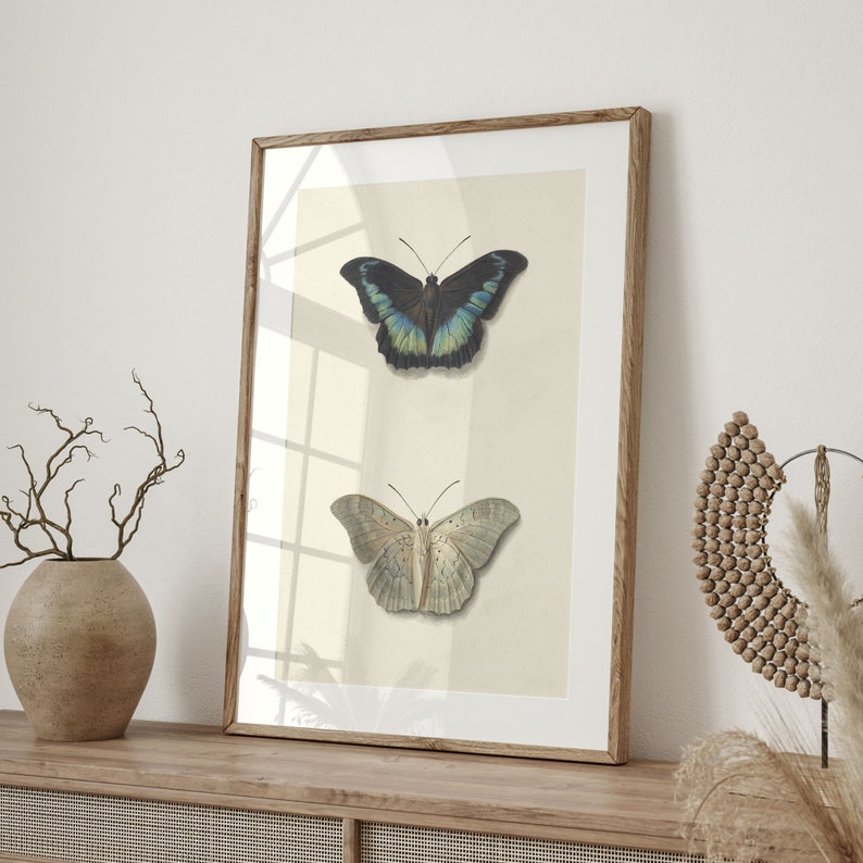 Vintage Butterfly Botanical Study, Antique Art Print, Farmhouse Decor ...