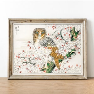Eulen Print, Antike Weltraum Malerei, Vintage Zeichnung Poster Wand Kunst, Kirschblüte, Tier Aquarell, einheimische Tiere | COO693