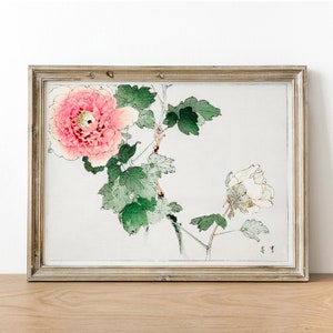 Pfingstrose Druck, Antikes botanisches Gemälde, Vintage Zeichnung Poster Wand Kunst Dekor, Baumpfingstrose, vintage botanische, viktorianische botanische | CO676