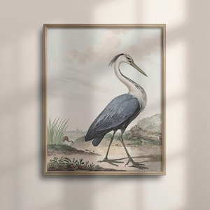 Antique Blue Heron Bird Painting, Vintage Coastal Wall Art, Nautical Decor, Bird Lover Gift, Wildlife Illustration, Poster, C16-1147