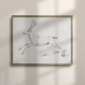 Vintage Reindeer Sketch, Christmas Deer Art, Winter Wall Decor, Fine Art Poster, Neutral Holiday Decor, Reindeer Drawing, C16-228