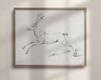 Vintage Reindeer Sketch: Christmas Deer Fine Art Poster