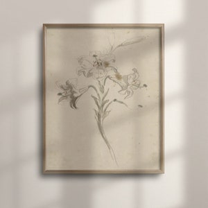 Vintage Lily Sketch, Beige Botanical Artwork, Neutral Floral Wall Decor, Classic Lily Drawing, Minimalist Botanical Print, Beige, C16-833