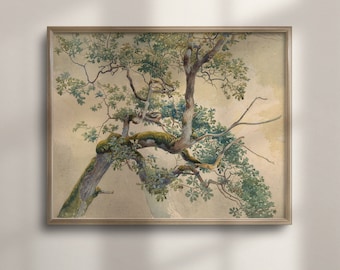 Antique Oak Tree Watercolor Painting: Vintage Botanical Art Print