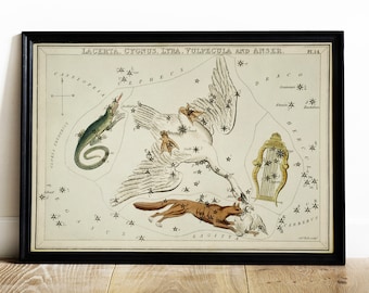 Antique Constellation Print: Lacerta, Cygnus, Lyra, Vulpecula
