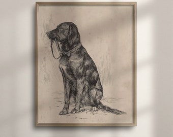 Vintage Black Labrador Art Print: Antique Dog Portrait