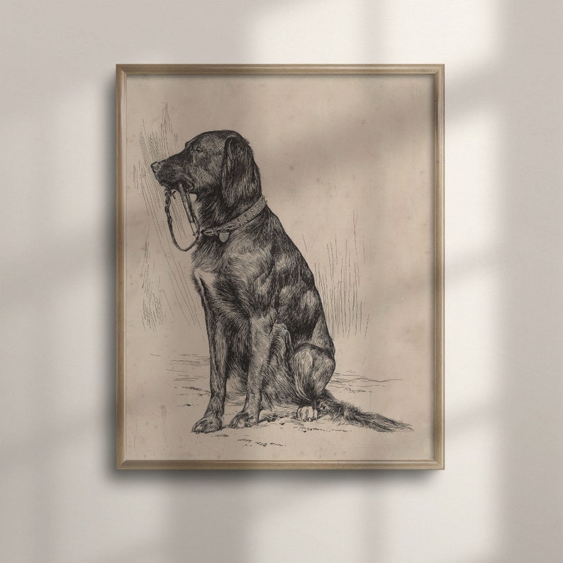 Vintage Black Labrador Art Print: Antique Dog Portrait image 1