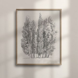 Antique Tree Etching Sketch, Vintage Nature Drawing, Minimalist Neutral Wall Art, Bathroom Decor, C16-790